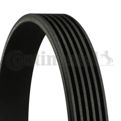 الحزام CONTINENTAL CTAM