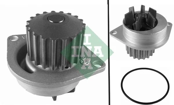 مضخة الماء Schaeffler INA
