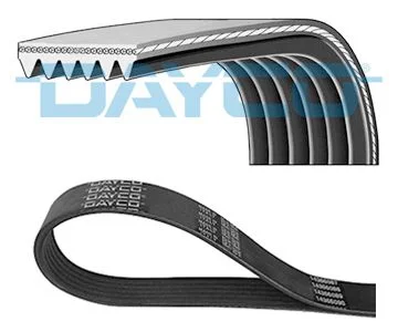 Courroie d'alternateur DAYCO