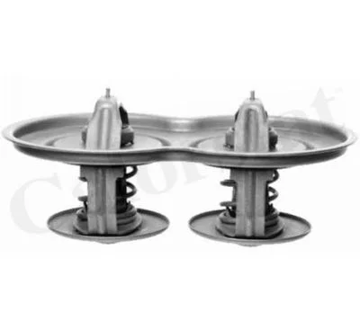 Thermostat CALORSTAT by Vernet