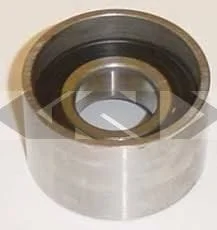 Galet tendeur Schaeffler INA