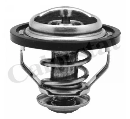 Thermostat CALORSTAT by Vernet