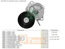 Galet tendeur Schaeffler INA