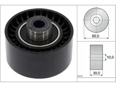 Galet tendeur Schaeffler INA