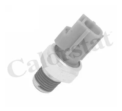 MANO D'HUILE FORD FIESTA III 1/4x18 NPTF