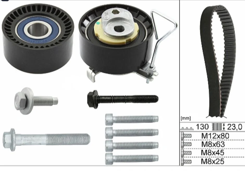 Kit de distribution Schaeffler INA