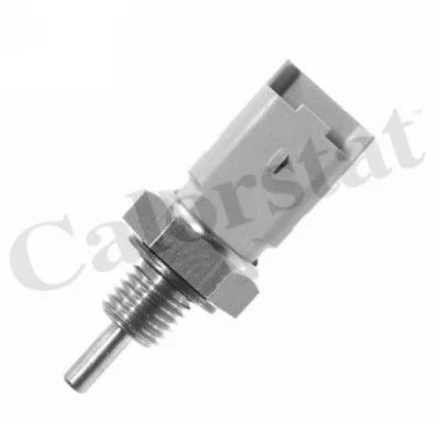 MANO-TEMPERATURE  PARTENER  = FAE  33795