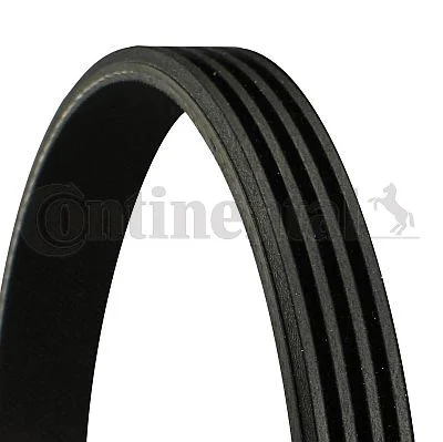 الحزام CONTINENTAL CTAM
