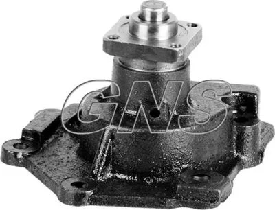 Pompe à eau GNS