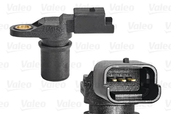 CAP POS A - A'CAME (3FIC) D. DUST - LOG - SAND - R. CLI -KAN  1,5 DCI