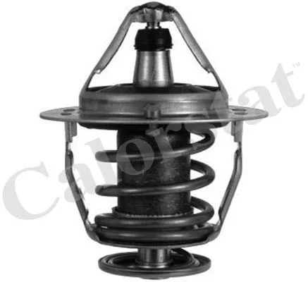 Thermostat NANFENG