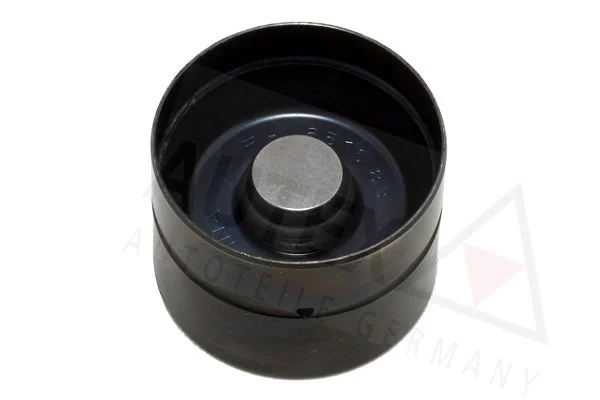 POUSSOIR.S VW GOLF IV -PASSAT-POLO-BORA/A3-A4-A6=4200102100