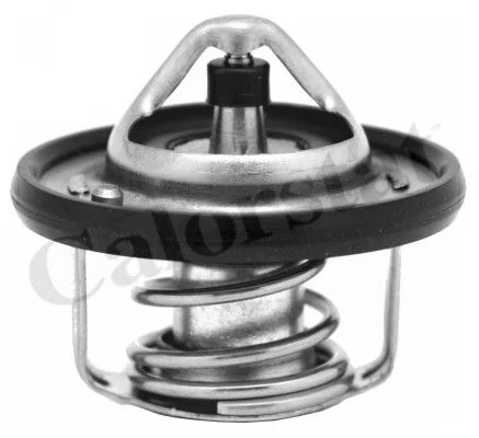 Thermostat CALORSTAT by Vernet