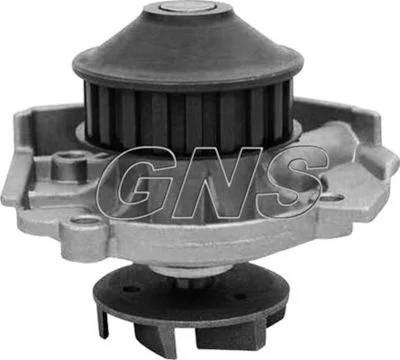 Pompe à eau GNS