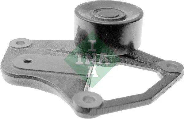 Galet tendeur Schaeffler INA