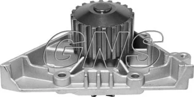 Pompe à eau GNS
