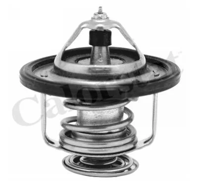 Thermostat CALORSTAT by Vernet