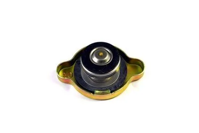 BOUCH DE RADIATEUR(45X23)(09BAR) HYUNDAI IX35-I40-KIA SPORTAGE 1/SACH