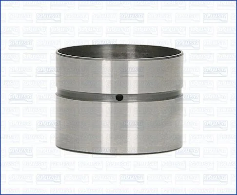 POUSSOIR.S VW GOLF IV -PASSAT-POLO-BORA/A3-A4-A6=4200209100