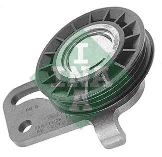 Galet tendeur Schaeffler INA