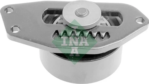 Galet tendeur Schaeffler INA