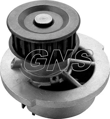 Pompe à eau GNS