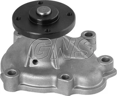 Pompe à eau GNS
