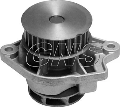 Pompe à eau GNS