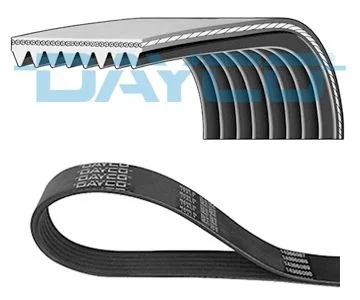 حزام المولد DAYCO