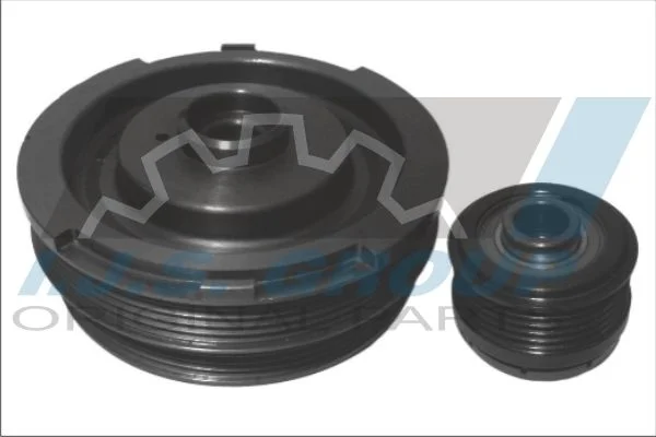 KIT Poulie de villebrequin + alternateur BMW 5 520D 02.2000-06.2003