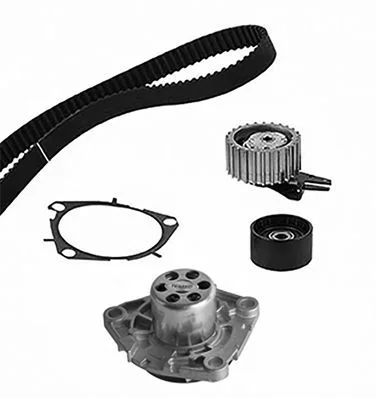 Kit de distribution METELLI
